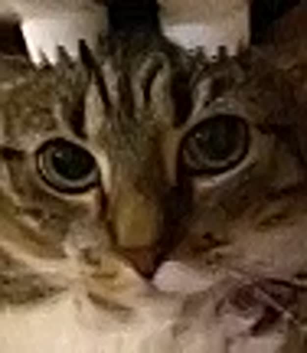 На 23 февраля в Ростовской области прогнозируют магнитные бури