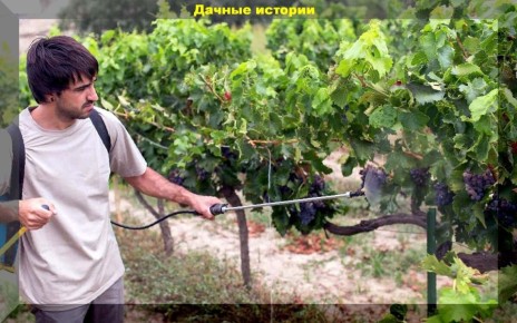 ������� ��������� ���������: ��� �������� ������ �� ��������