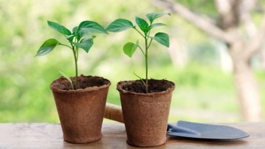 ��� �������� ������� �������� �����: ������� ��� �������� ������