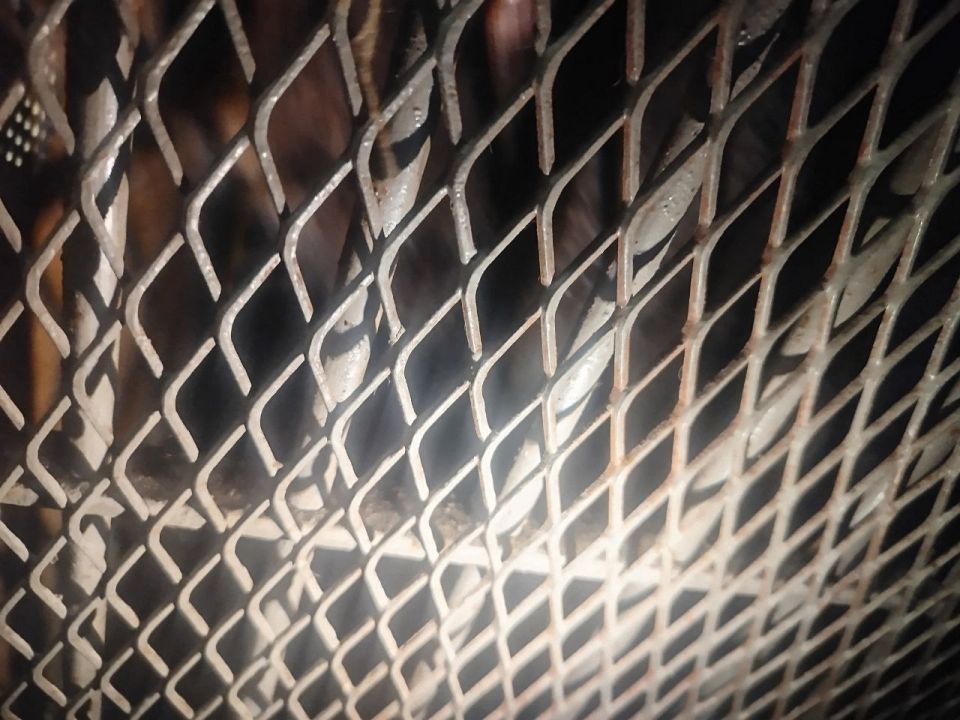 ������� ��������� ���� � ��� ���� �����������: ����� �������� ����� ������� ����� ���������