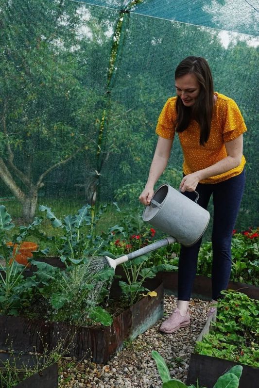 ��� ���������� ���������� �� ������� � ������� ����� ����