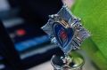 Награды за мужество от донского губернатора получили лауреаты Всероссийской общественно-государственной инициативы «Горячее сердце»