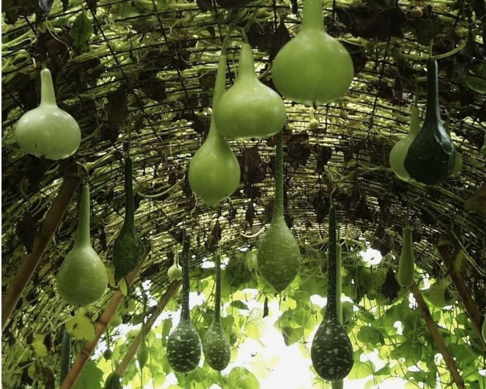 ���������: ��� �������, � ��� ��� � ���� ������