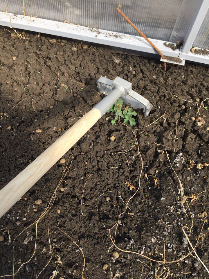 Как продлить жизнь дачному инвентарю: три простых правила