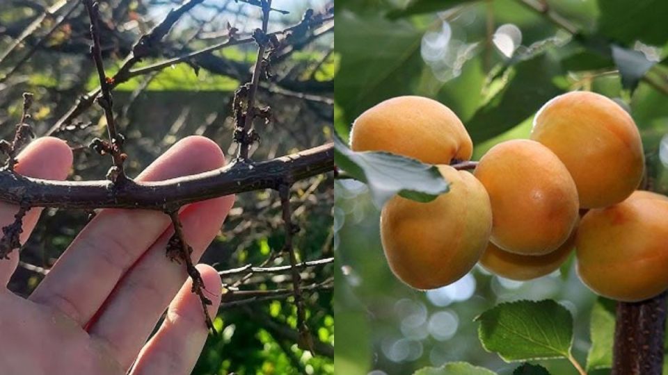 ��� �� ���� ���� ������� ��������� ������� ��� �������������� ��������