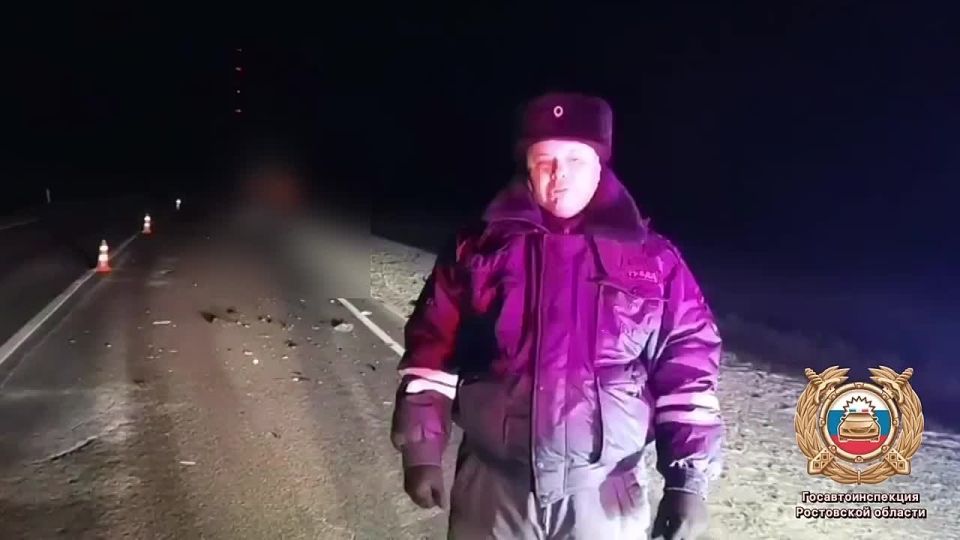 Сотрудники полиции устанавливают обстоятельства гибели пешехода на «Р-260»