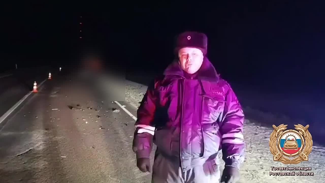 Сотрудники полиции устанавливают обстоятельства гибели пешехода на «Р-260»