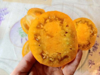 ��������� ��������: �����, ������������ ����