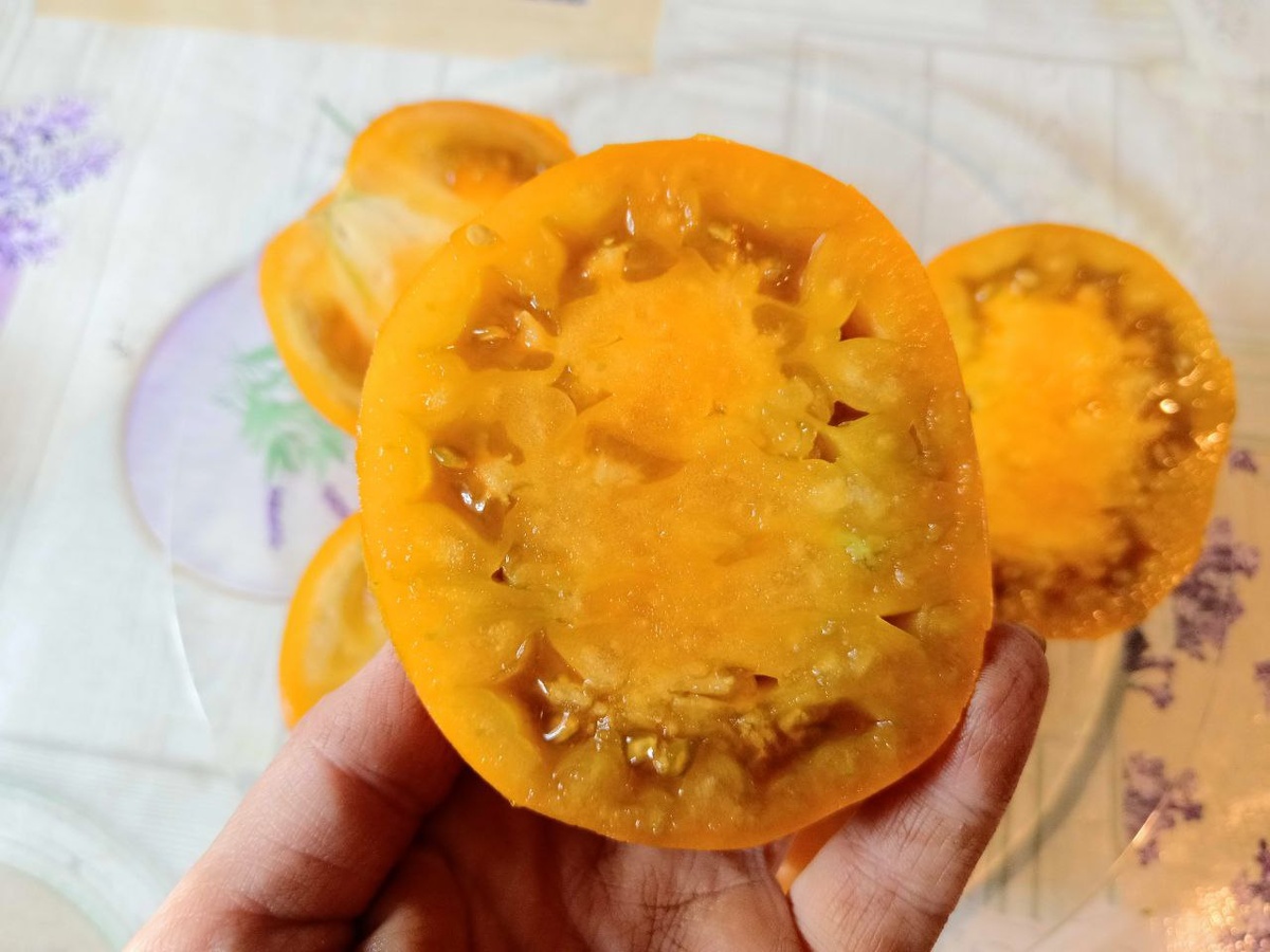 Необычные помидоры: томат, напоминающий дыню