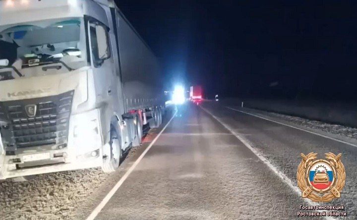 � ����������� ������ �������� �������� ���� 29-������� �������