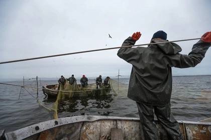 Ученый Сергей Дудкин рассказал, какая рыба останется в Азовском море после его превращения в лагуну Черного