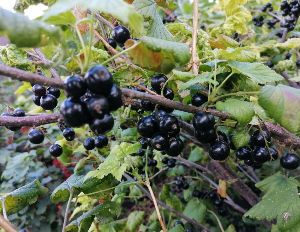 ����� � ��� �������� ������ ��������� ������