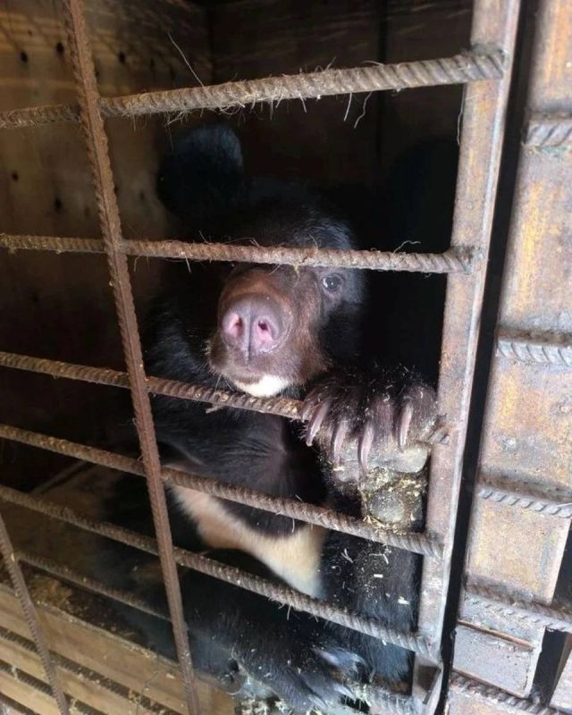 ���������, ���������� ���������� � ��������, ��������� � ���������� �������