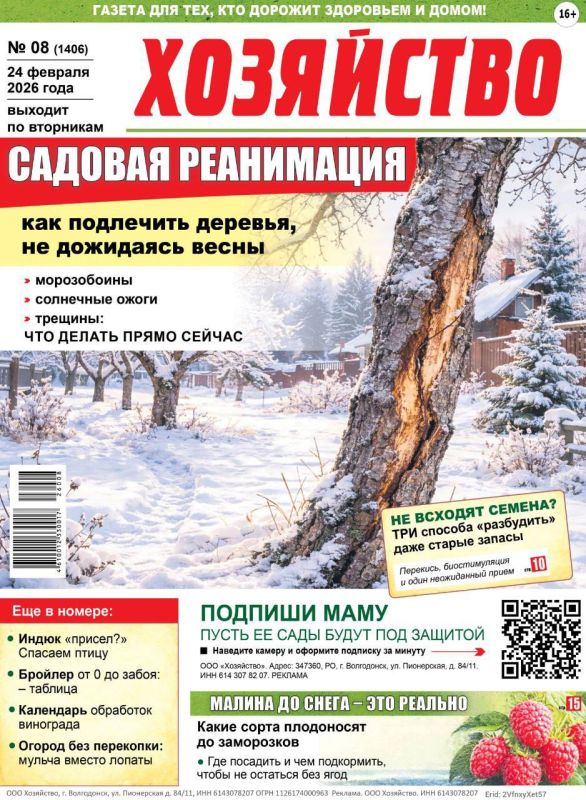 ��� ������� ������ ���� ����?