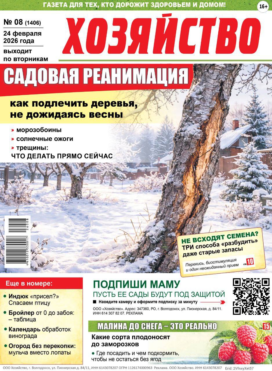 Что сегодня читала твоя мама?