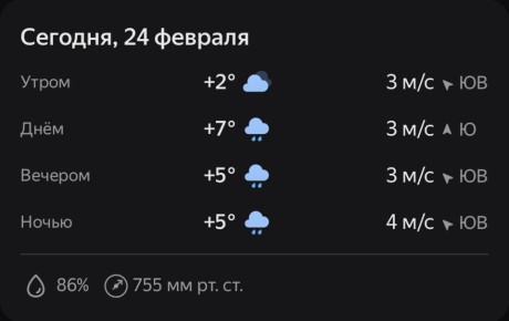 Доброе утро, Ростов!. Приближается весна! Погода сегодня теплая, но не забудьте зонт
