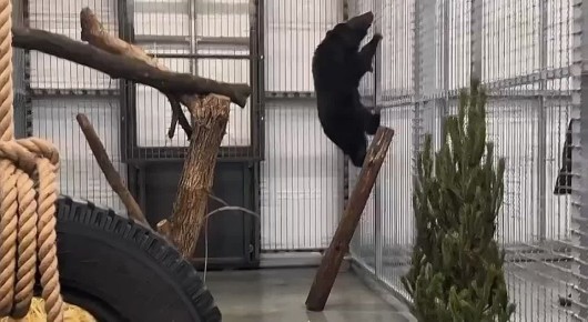 ����� ���� � ������� ������� ��������� � ���������� �������