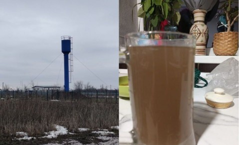 ������ ������ ��������� � ��������� ������ ������ �� ����������� ���� � 6 ��� ������ ������