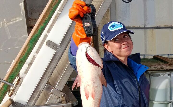 Ростовские учёные выяснили, насколько безопасно есть рыбу из Азовского моря