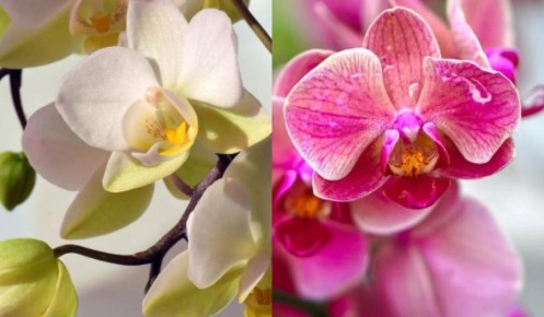 ��� ������� ����� ������ ������� �������� ������