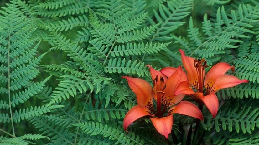 ����-��-�����: ������� ������ � ������ � ����������