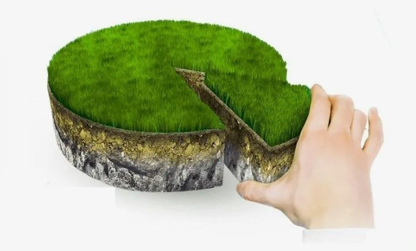 . ��������� ��������� � �������� ������� �������� ������������ ���������� ������� ����������� �������������