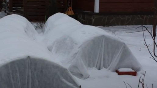 ��� ����������� ���� � ����: �������� ������