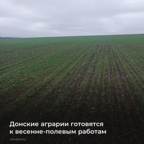 Под посевную в регионе сохраняется 4,9 млн га, из них 3,52 млн га - под зерновые
