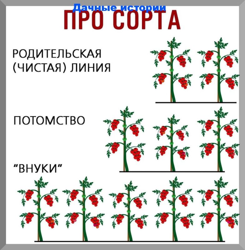 ����� ������ ��������: ��� ������� �������� � �������?