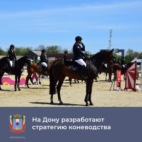 На рабочей встрече с участием областных минсельхоза, минэкономразвития, профильных ведомств, коневодческих хозяйств, частных коневладельцев принято решение о создании рабочей группы по разработке «Стратегии коневодства...