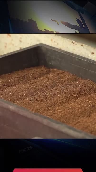 ������� ���������� ������ ����� ��� �������� �������