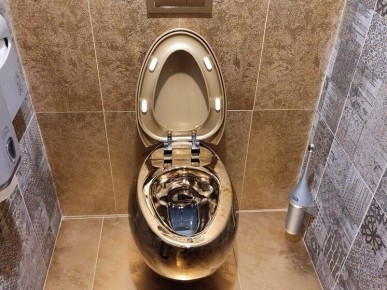 Петербуржцев предостерегли от опасной утилизации отходов в унитазе