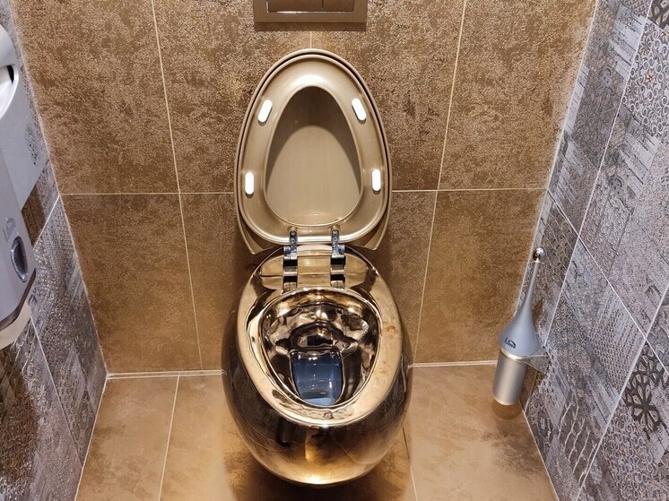 Петербуржцев предостерегли от опасной утилизации отходов в унитазе