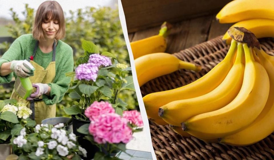 ��� ��������� ��������� ������� ����� ��������� ��������