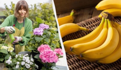 ��� ��������� ��������� ������� ����� ��������� ��������