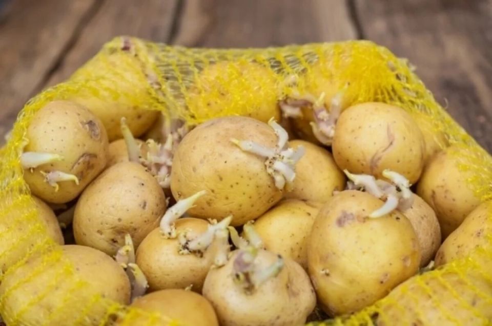 ������� ��������: ��� ��������� ��������� ������ �����