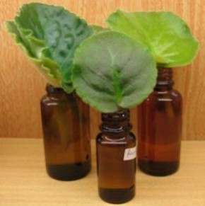 ��� ���������� ������ �� �����: ��������� �����������