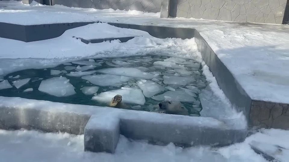 ������ ����, ������!. ������� ���������� ������������� ���� ��������� �������