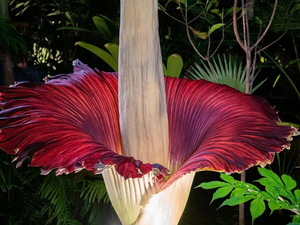 ������������: ��� � ����� � ����� ����