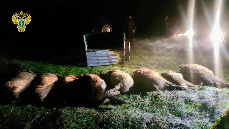 �������� �� ���������� ���� � ���������� ����� ������� 66-������� ������ ���������������� ������