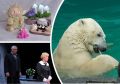 В Ростове встретят весну с белыми медведями, музыкой Бетховена и волшебной ярмаркой