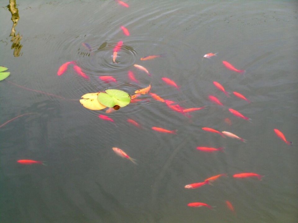 ��� ��������� ������� ������ ��� � �����: ������ � ������������