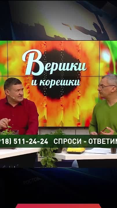 ��� �������� ������ �� ��������?