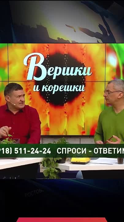 Как защитить семена от болезней?