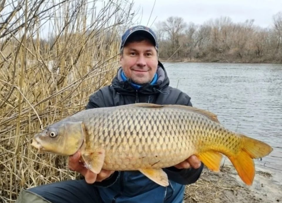 ����� �� ���������� ������� ������� ��������� ������ ����� ����� 4 ����������