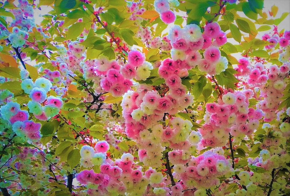 ��� �������� ���� �������� �� �����: ����������� ������