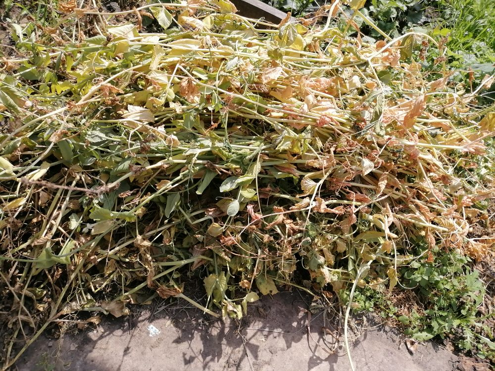 Как легко наполнить высокие грядки без лишних затрат и усилий