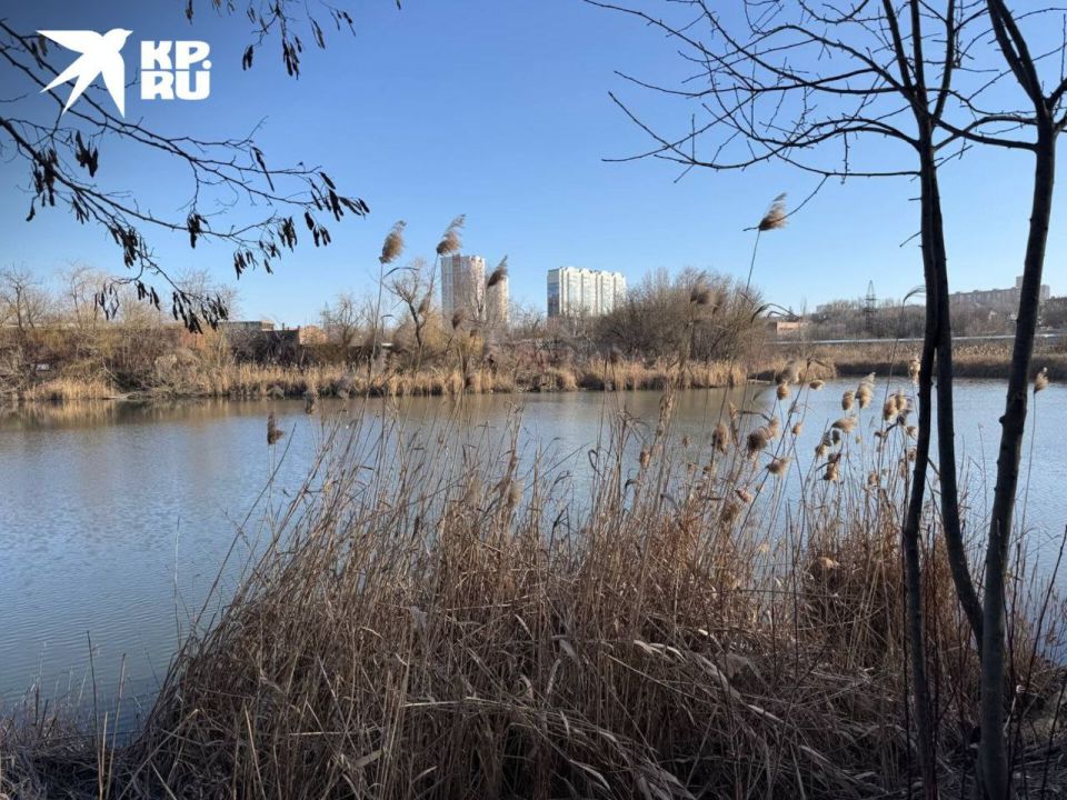 � ������������ ���� ����������� ������� �����: ���� ������������ ����� �������