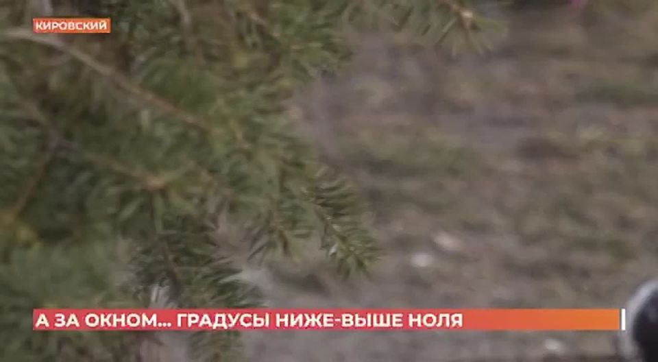 ��� ����� ��������� �������� ���� ����, ��� ������� - ����