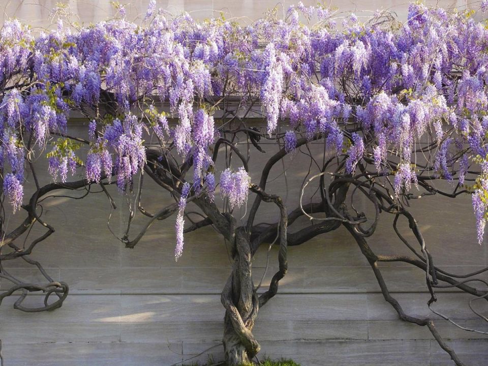 ��������: ��� �������� �������, �� ������� ����